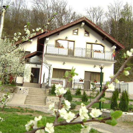 Pension Casa Natura Baile Herculane Bagian luar foto