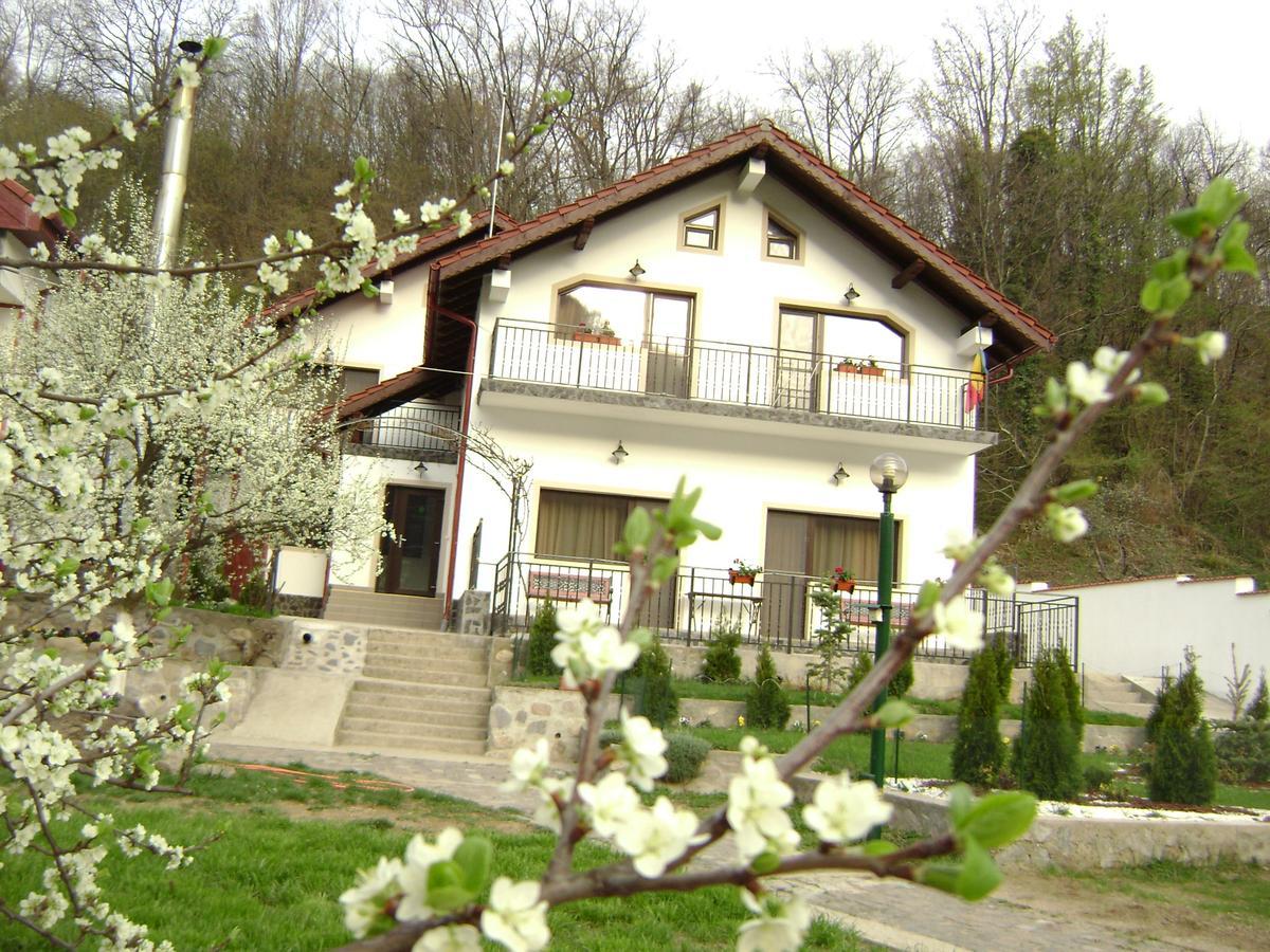 Pension Casa Natura Baile Herculane Bagian luar foto