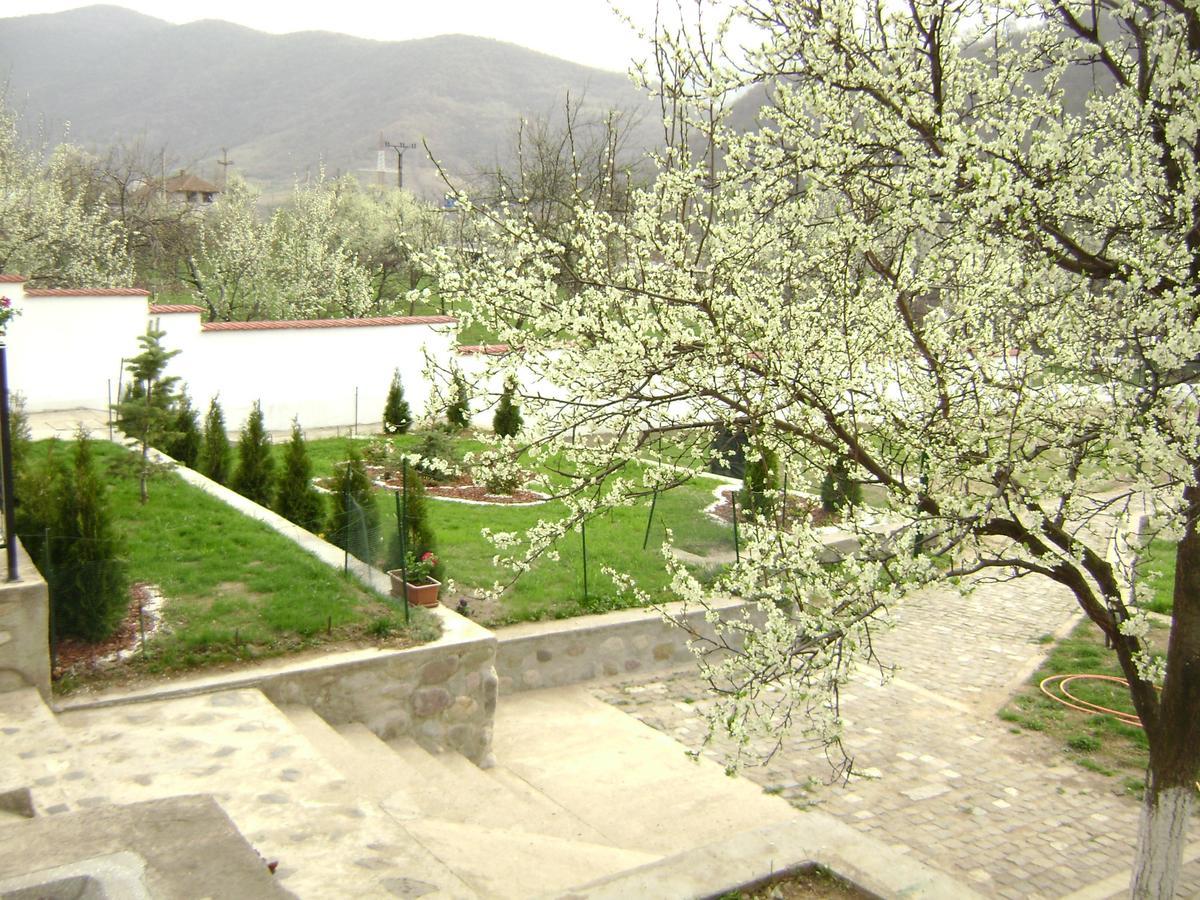 Pension Casa Natura Baile Herculane Bagian luar foto