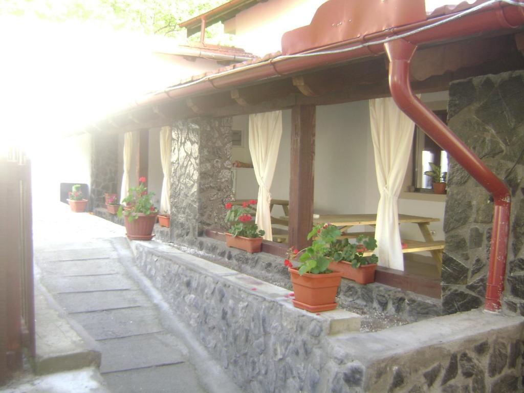 Pension Casa Natura Baile Herculane Bagian luar foto