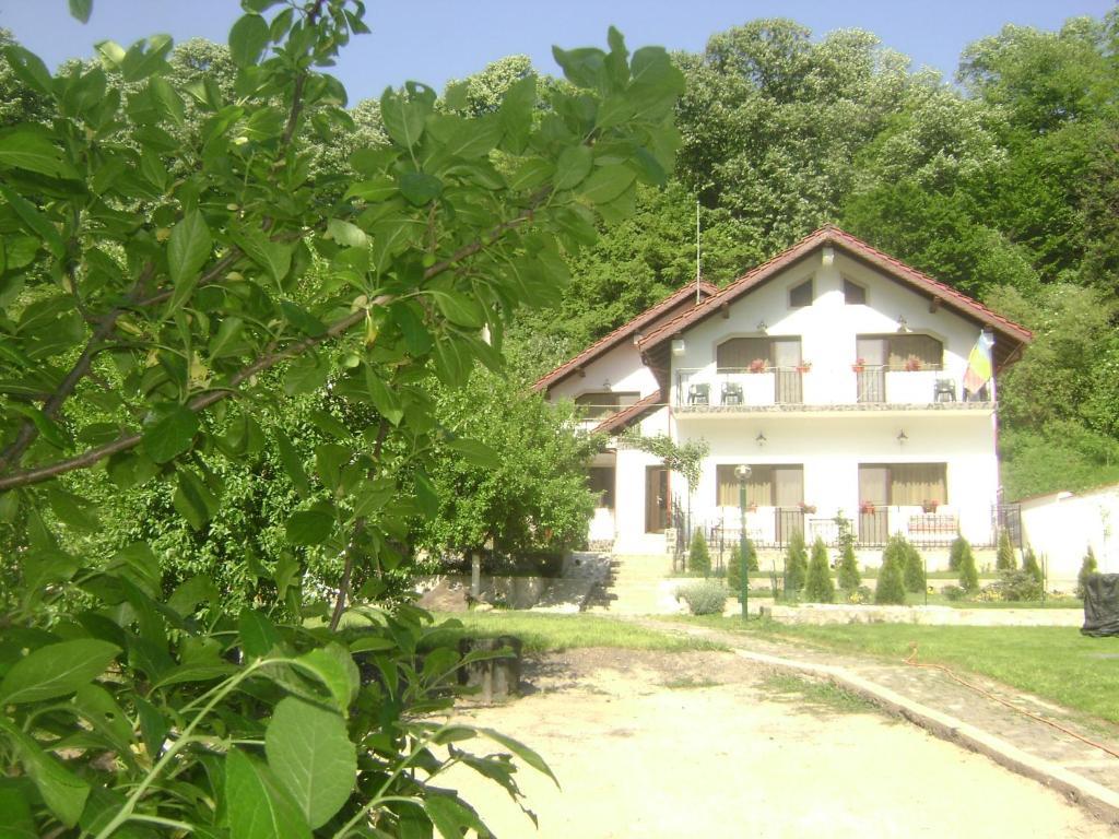 Pension Casa Natura Baile Herculane Bagian luar foto