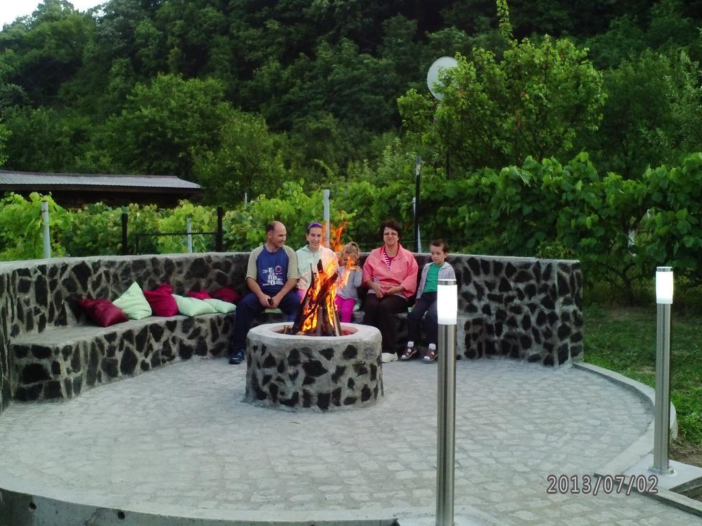 Pension Casa Natura Baile Herculane Bagian luar foto