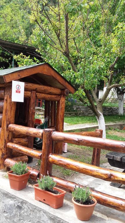 Pension Casa Natura Baile Herculane Bagian luar foto