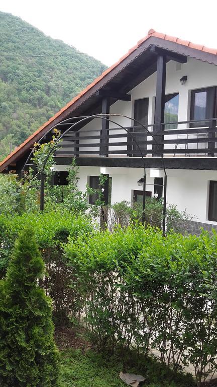 Pension Casa Natura Baile Herculane Bagian luar foto
