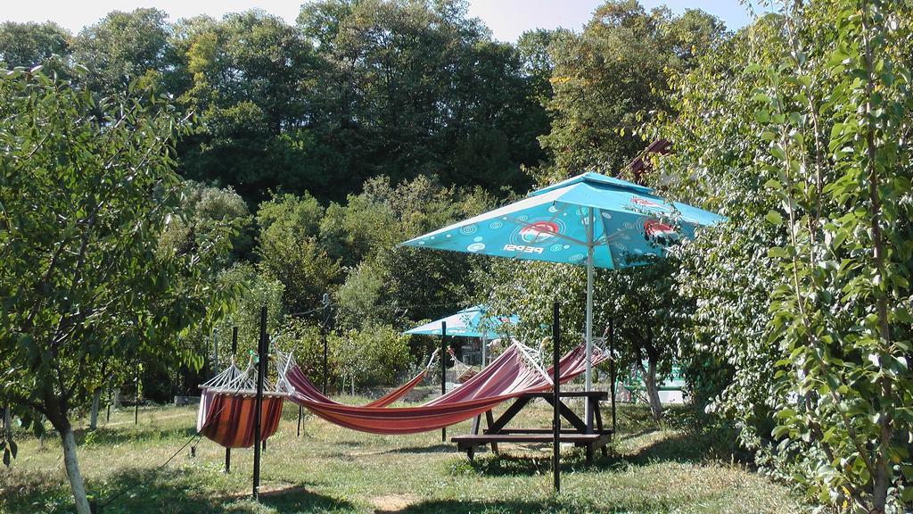 Pension Casa Natura Baile Herculane Bagian luar foto