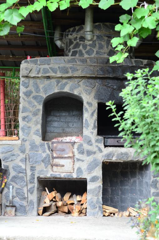 Pension Casa Natura Baile Herculane Bagian luar foto